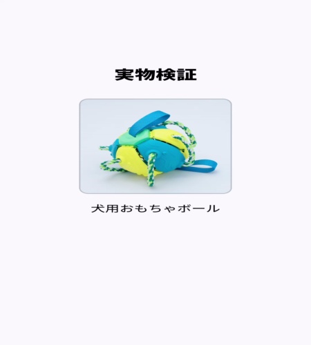 実物検証