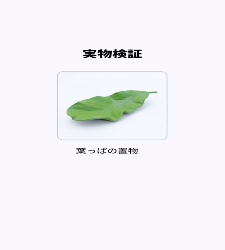 実物検証