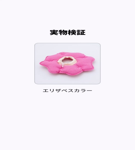 実物検証