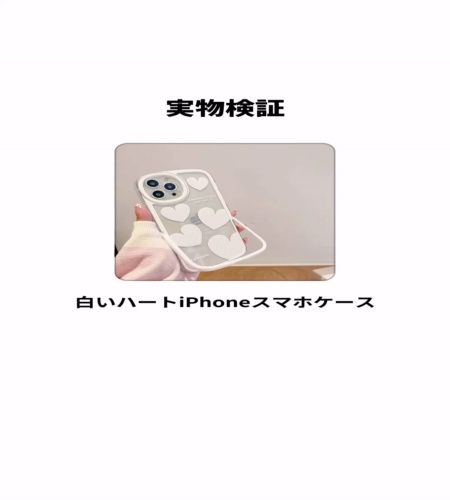 実物検証