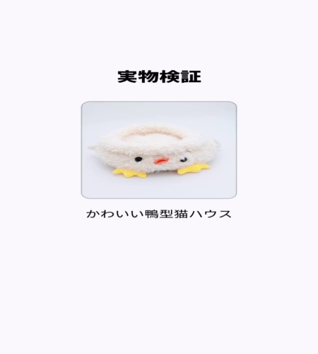 実物検証