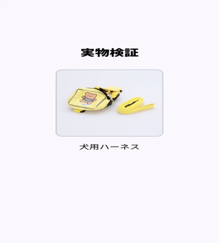 実物検証