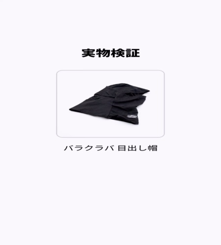 実物検証