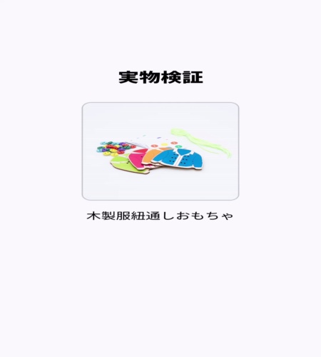 実物検証