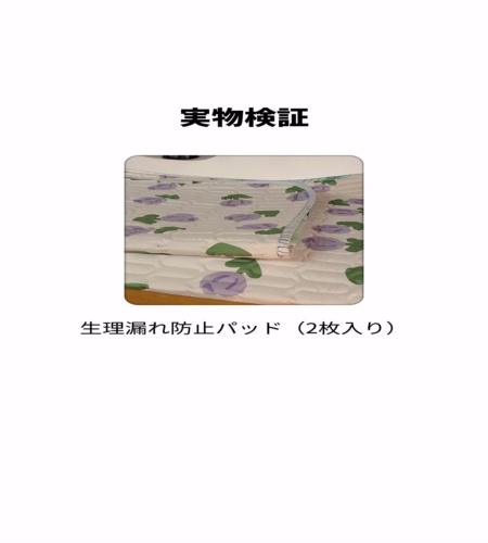 実物検証