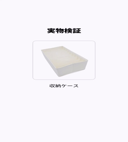 実物検証