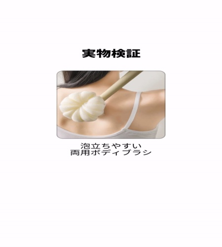 実物検証