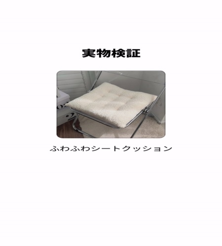 実物検証