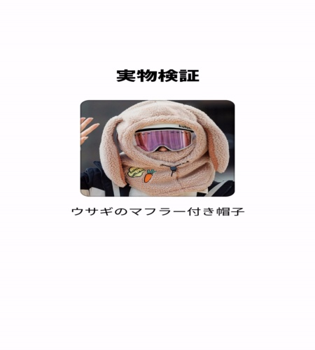 実物検証