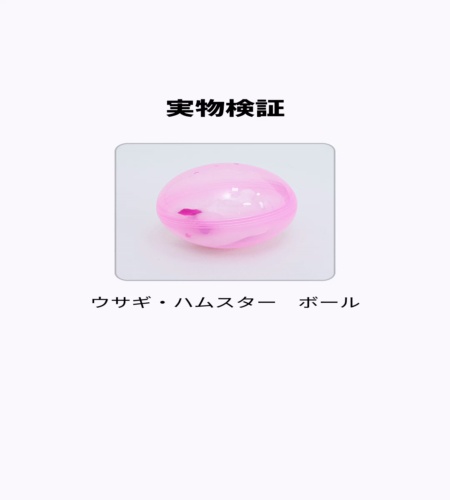 実物検証