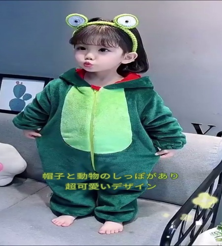 紹介動画
