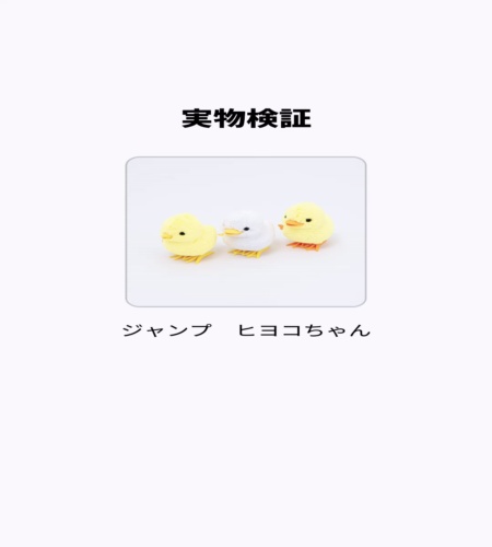 実物検証