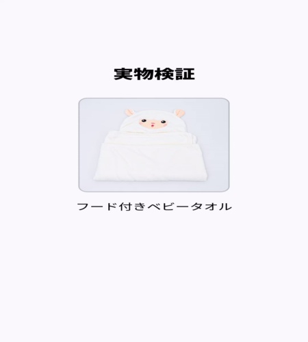 実物検証