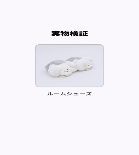 実物検証