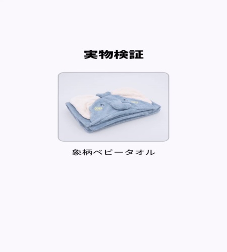 実物検証
