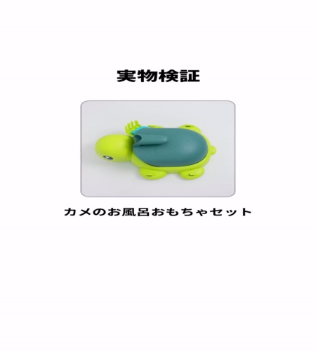 実物検証