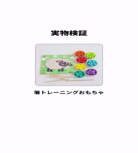 実物検証
