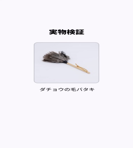 実物検証