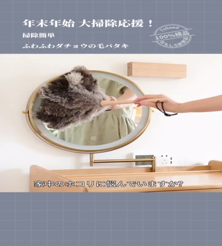 紹介動画