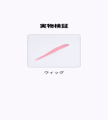 実物検証