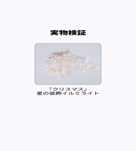 実物検証