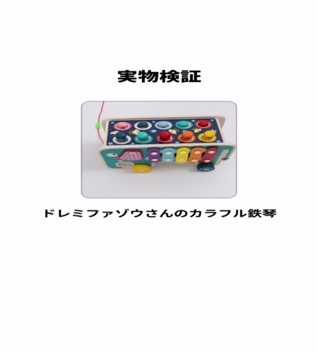 実物検証