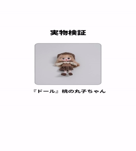 実物検証