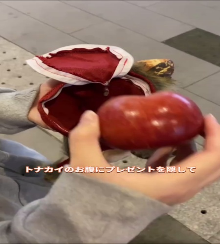 紹介動画