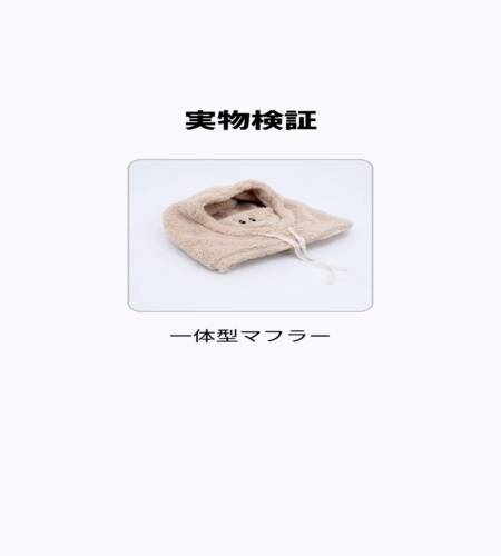 実物検証