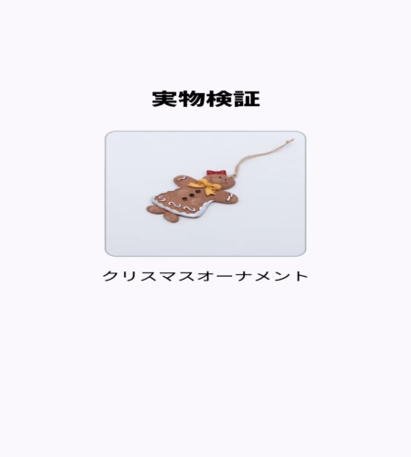 実物検証