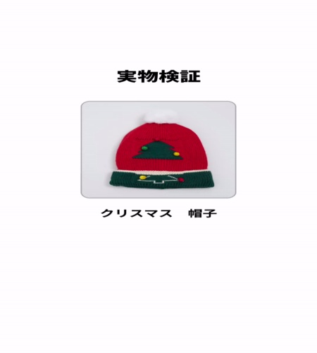 実物検証