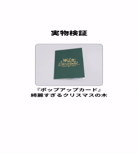 実物検証
