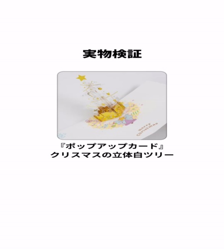 実物検証