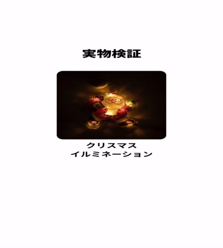 実物検証
