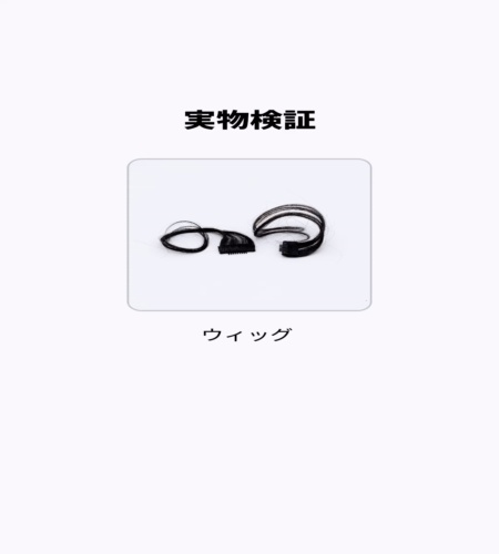 実物検証