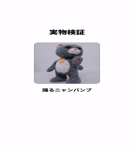 実物検証