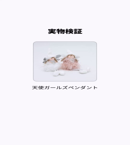 実物検証