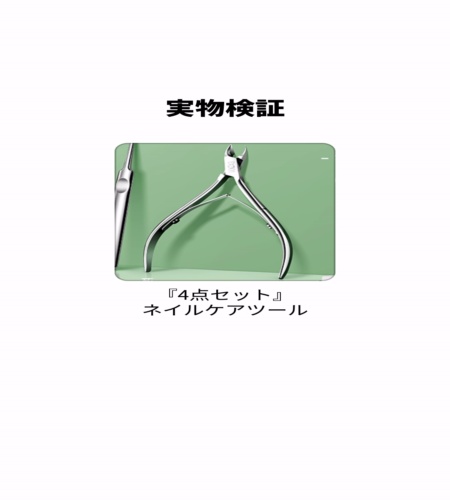 実物検証