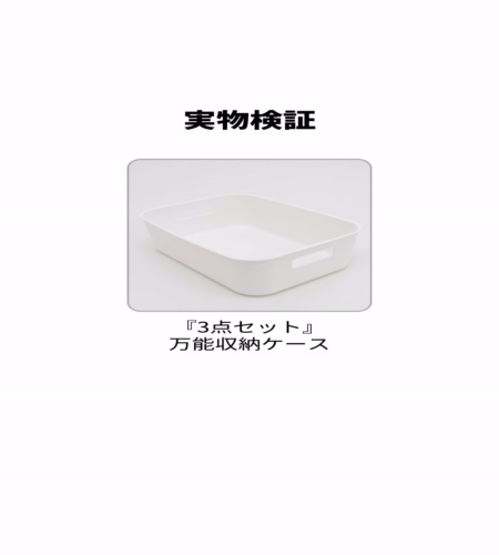 実物検証