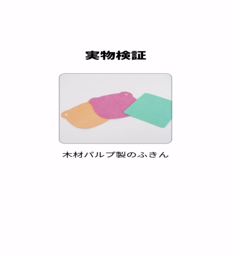 実物検証