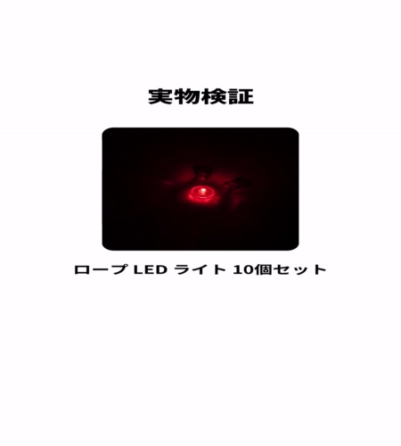 実物検証