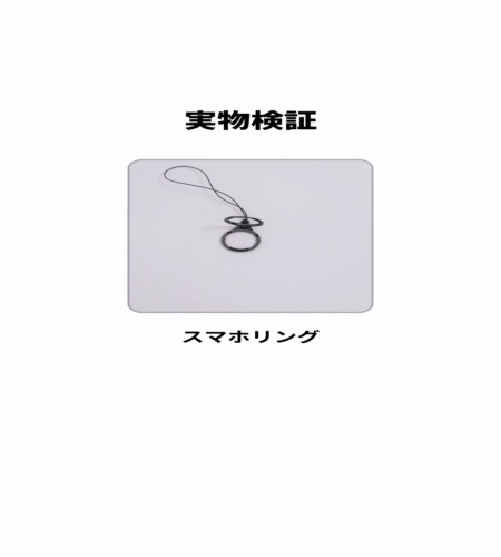 実物検証