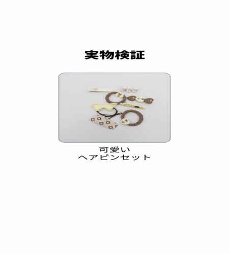 実物検証