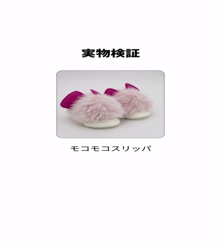実物検証