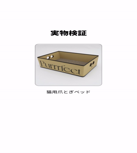実物検証