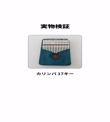 実物検証