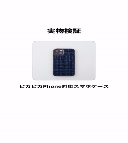 実物検証