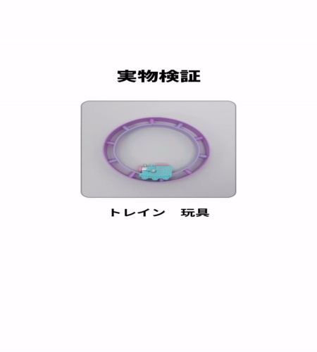 実物検証