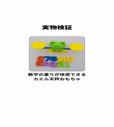 実物検証