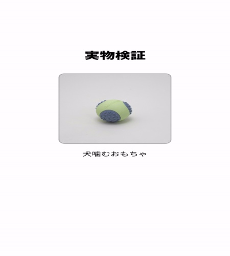実物検証